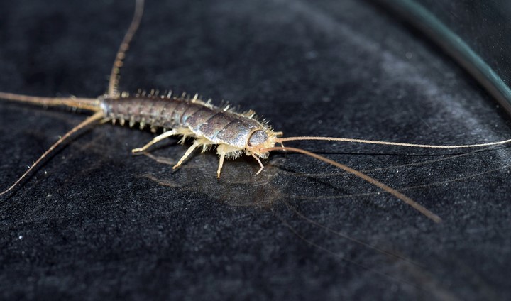 Shutterstock 1264203979