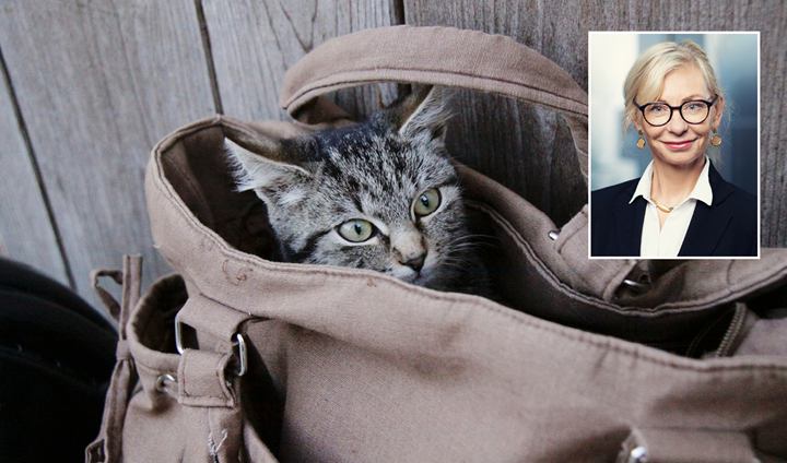 Laila Blogg 08.04.21