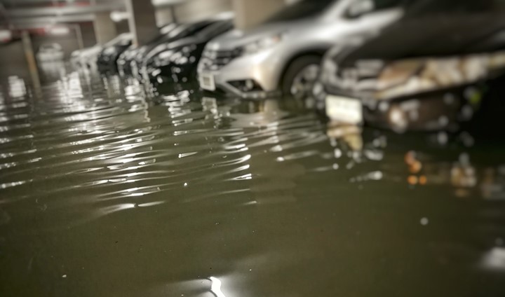 Shutterstock 735478822