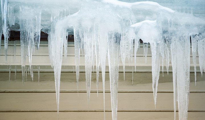 Shutterstock 1061302472