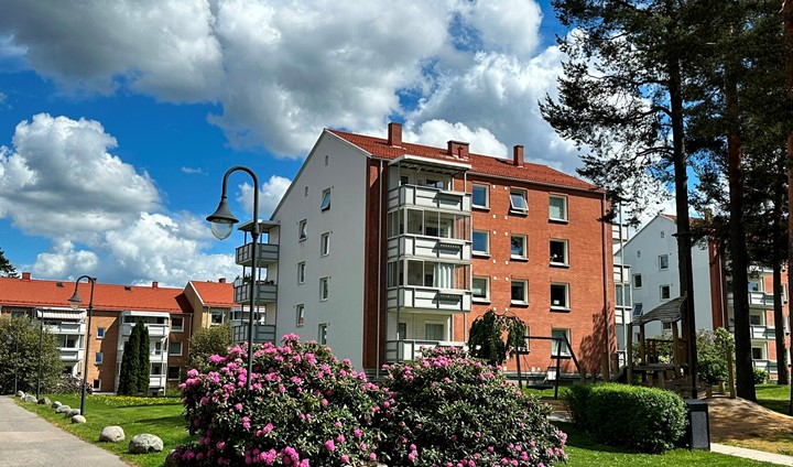 Bergkrystallen