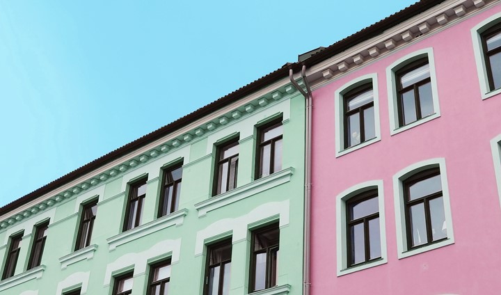 P8020060 2 Gronn Rosa