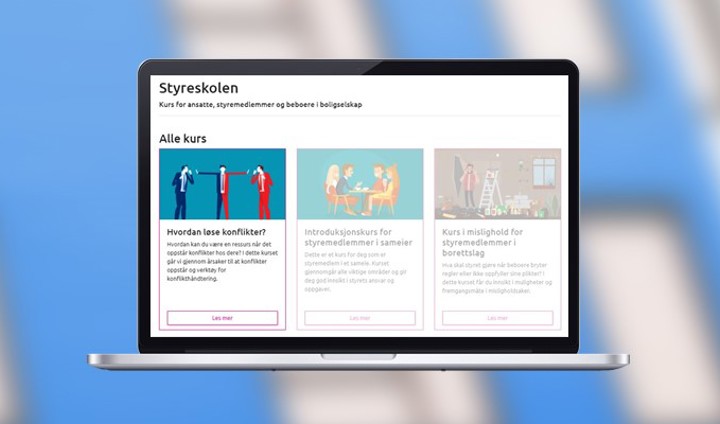 Styreskolen