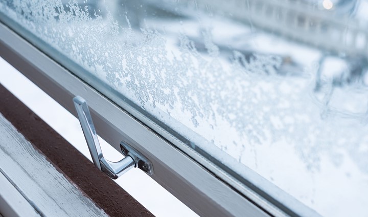 Shutterstock 1077017909