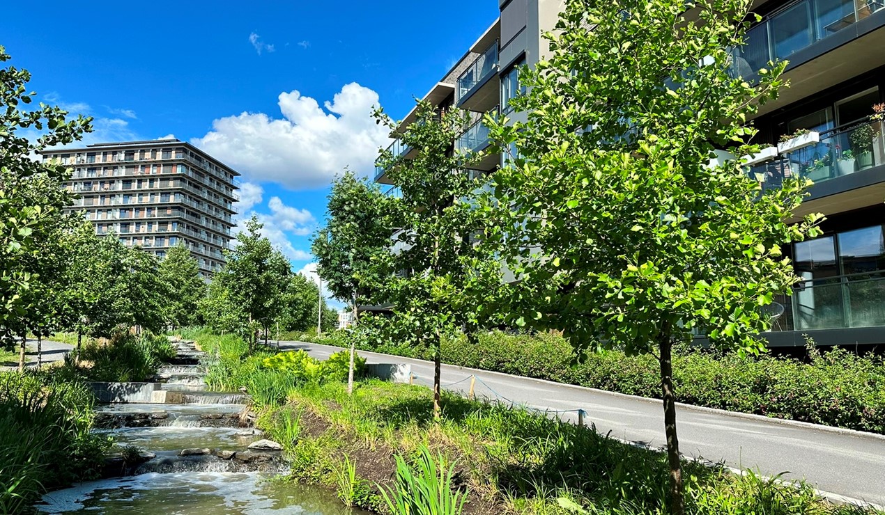 Innholdet i statlige retningslinjer, forskrifter og lover er viktig både for boligbyggelagenes rammevilkår og for å kunne skape gode boliger og godt bomiljø for medlemmene. Foto: NBBL